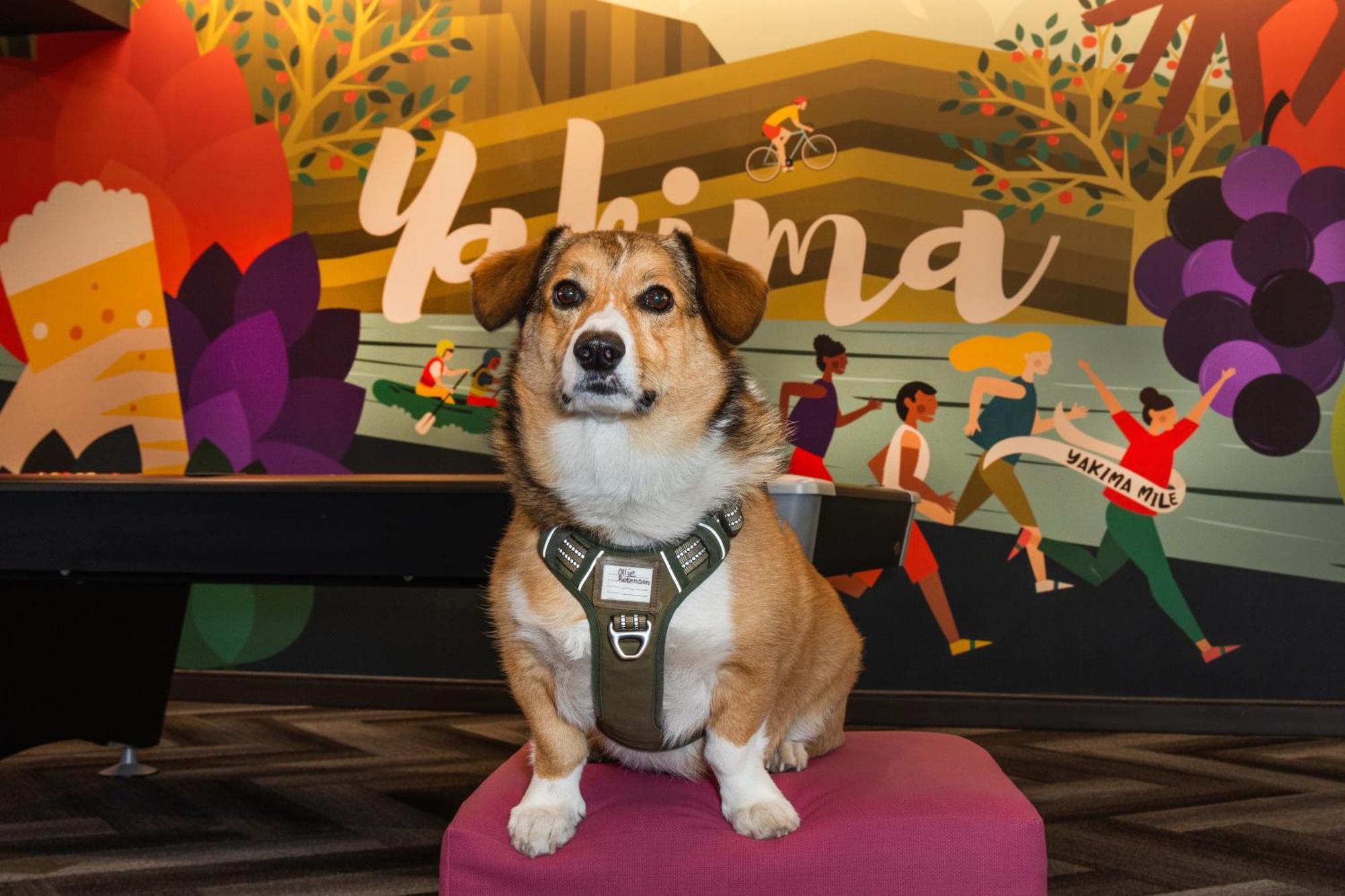 Hotel Tru By Hilton Yakima Airport Zewnętrze zdjęcie